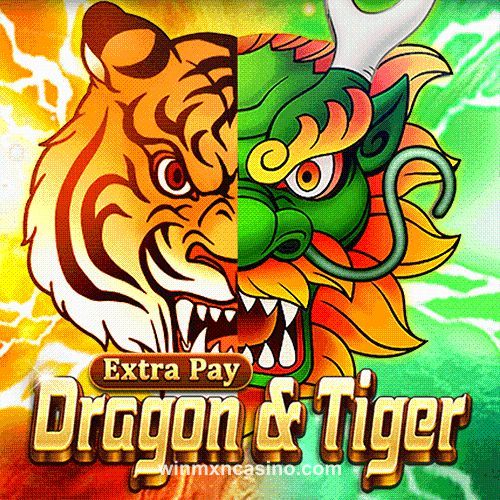 Dragon & Tiger winmxn