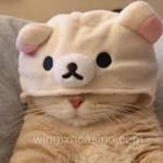 Avatar de Evelyn Castillo