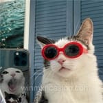 Avatar de Helena Tovar